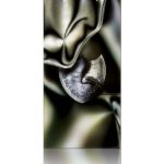 DPxLG Vintage Blanc 2010