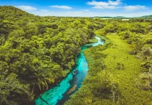 Bienvenidos al espectáculo del Sucuriú: el río más cristalino del mundo
