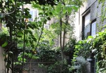 Small Corner Garden Ideas Low Maintenance